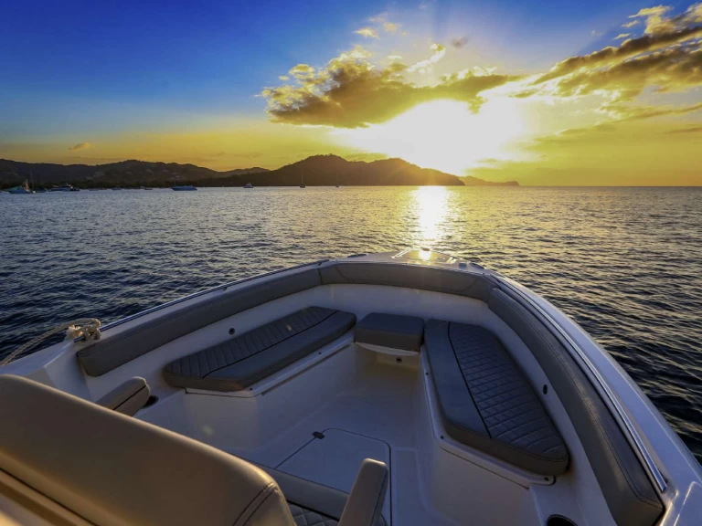 Location Bateau à moteur Pursuit avec permis