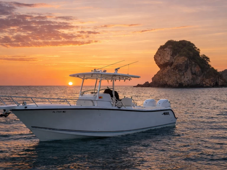 Louez un Zodiac Zodiac 28 FT à Coco Bay