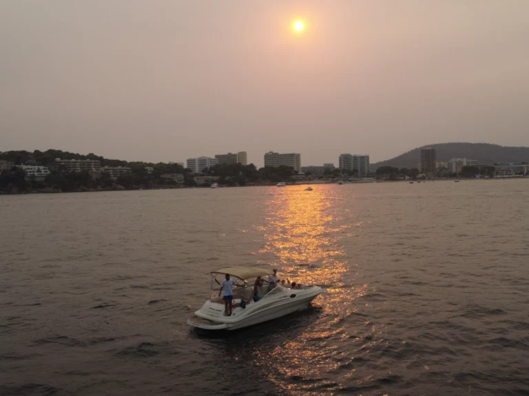 Location à Palma de Majorque - Sea Ray Sea Ray 240 Sundeck sur SamBoat