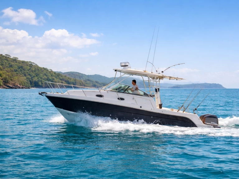 Location Bateau à moteur Robalo avec permis