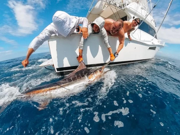 Location bateau Viking Viking 50 à Marina Papagayo sur Samboat