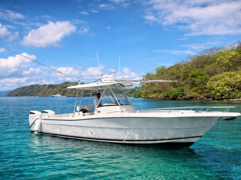 Pursuit Pursuit 32 a louer à Coco Bay