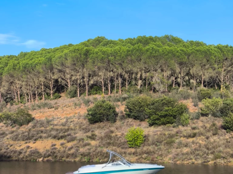 Location bateau Ferragudo pas cher SSV 215