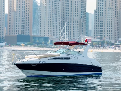 Hire Motorboat Régal with a boat licence