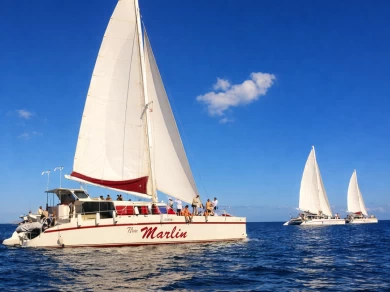 Wynajem Katamaran Lin Mar / Gold Coast Yachts z patentem 