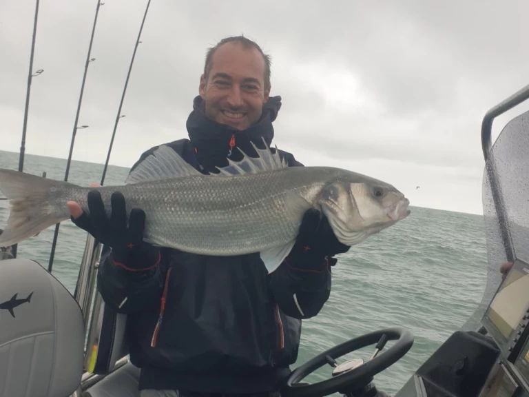 Location à Dunkerque - Sillinger Silverline 650 sur SamBoat