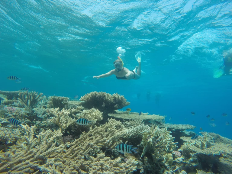 Louez un  Custom Built  444 à Charm el-Cheikh