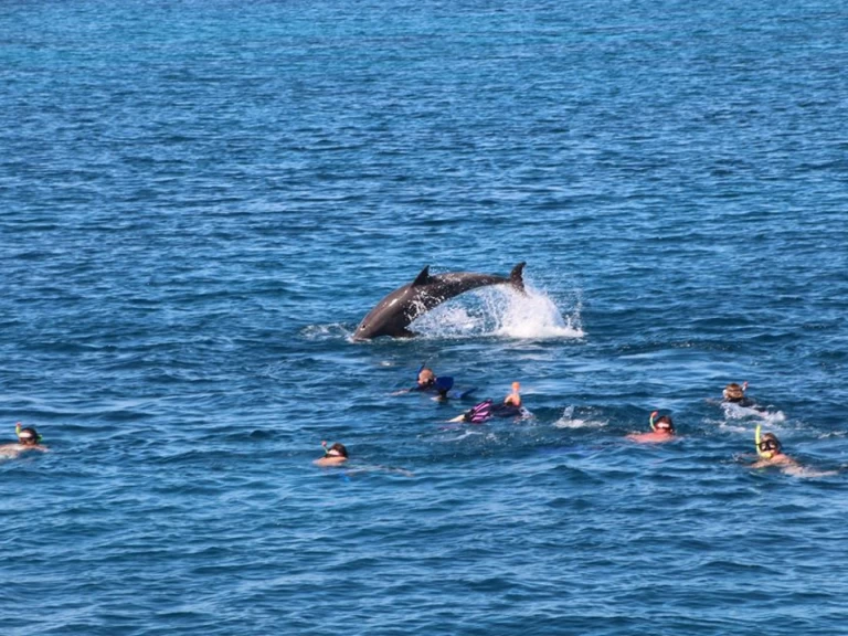 Location Yacht  avec permis