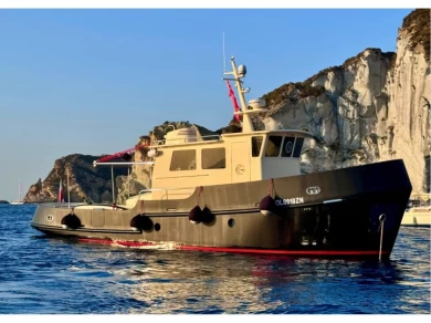 Uthyrning Motorbåt   med en båtlicens 