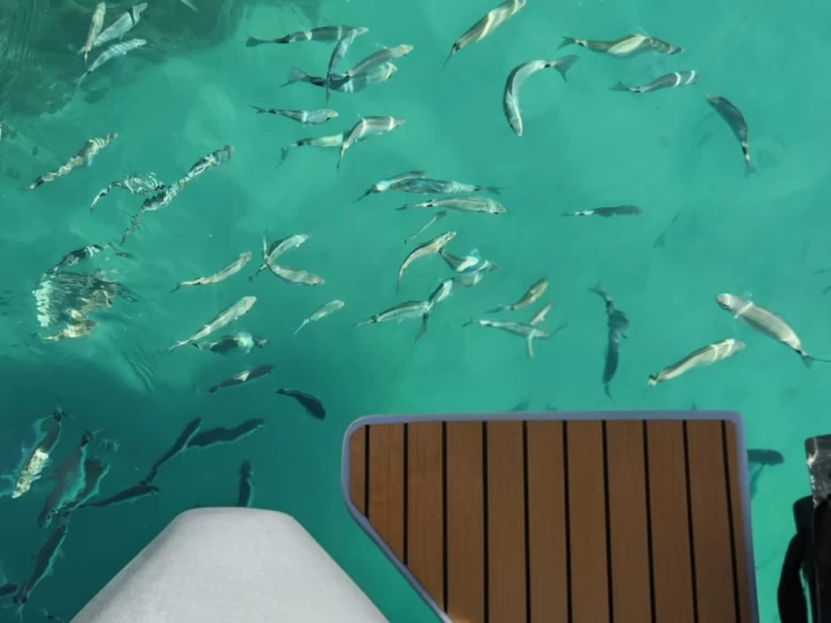 Location Semi-rigide Sacs avec permis