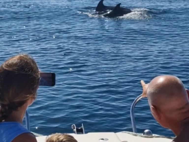 Louez un Quicksilver Activ 555 Open à Estepona