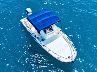 Noleggio Barca a motore a La Spezia – Boston Whaler Boston Whaler 220 Dauntless