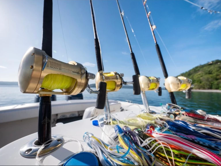 Bateau à moteur à louer à Coco Bay au meilleur prix