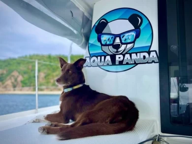 Alquiler Catamarán en Kingstown - Fountaine Pajot Lucia 40