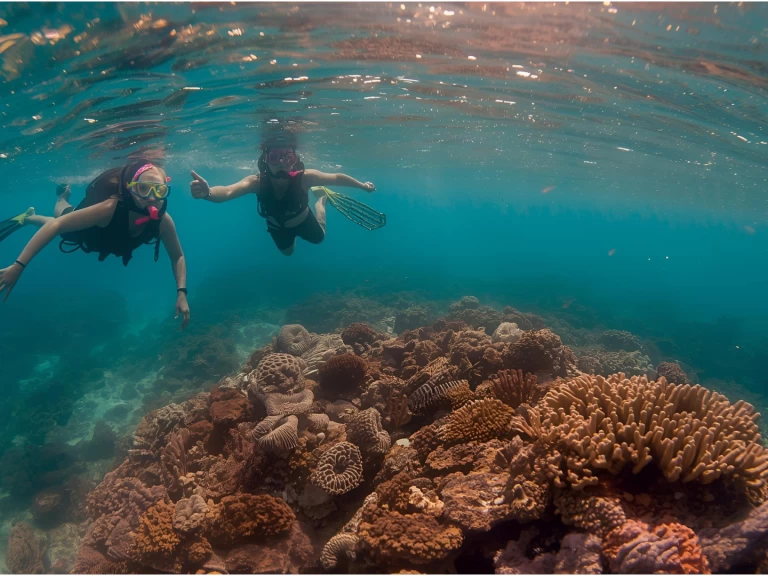 Location Bateau à moteur à Punta Cana - Custom Custom