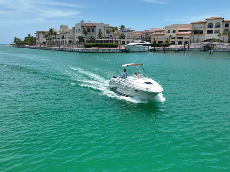 Location Bateau à moteur Custom avec permis