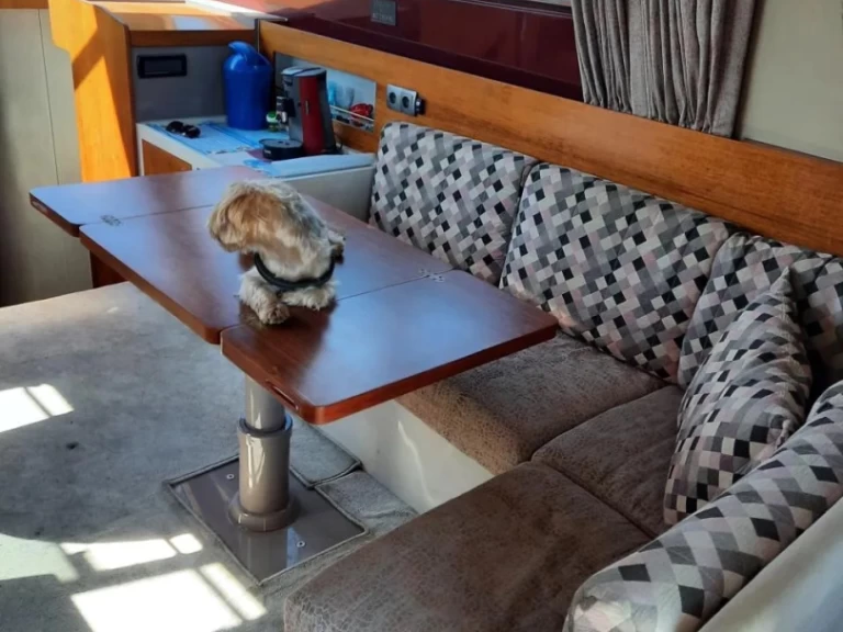 Location Bateau à moteur à Pula - Riva rivarama 44