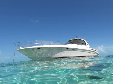 Yacht di lusso a noleggio a Fort Lauderdale al miglior prezzo
