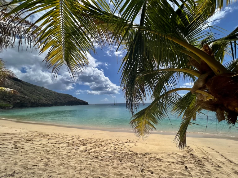 Location Voilier Pogo Structures avec permis