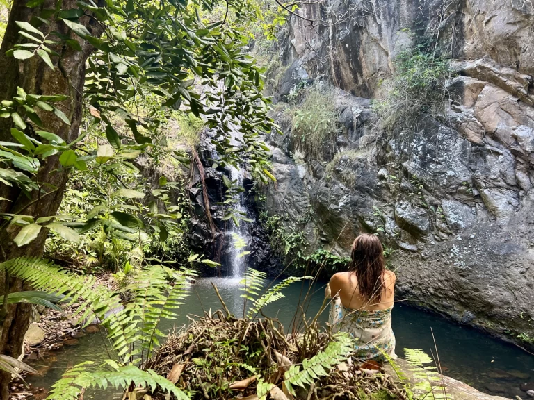 Location bateau Pogo Structures Pogo 12.50 à Hiva-Oa sur Samboat