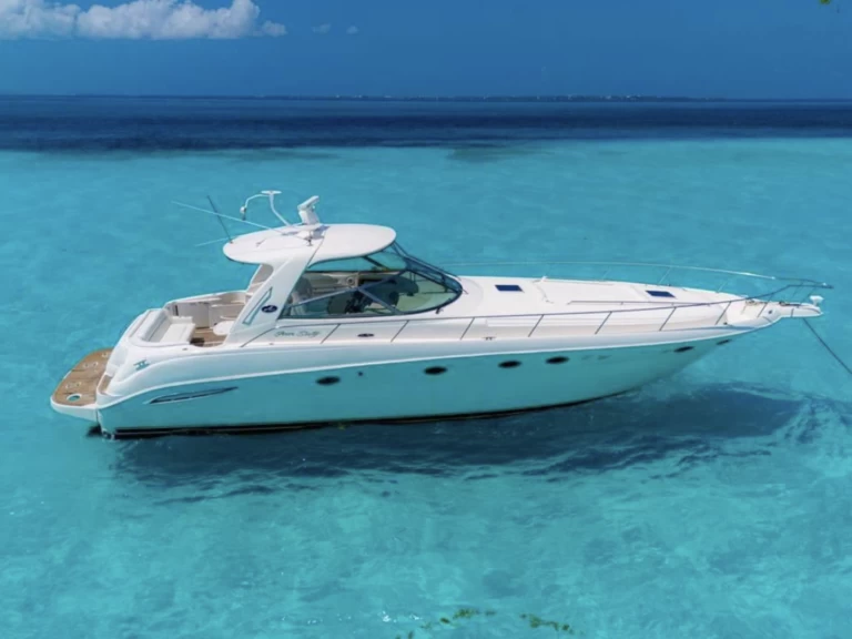Louez un Sea Ray Sea Ray 460 à Cancún