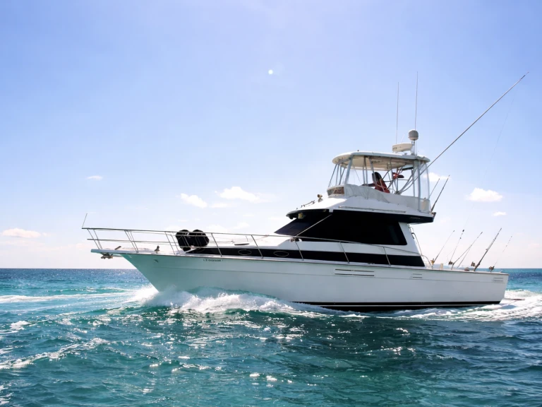 Location bateau Custom Custom à Bávaro sur Samboat