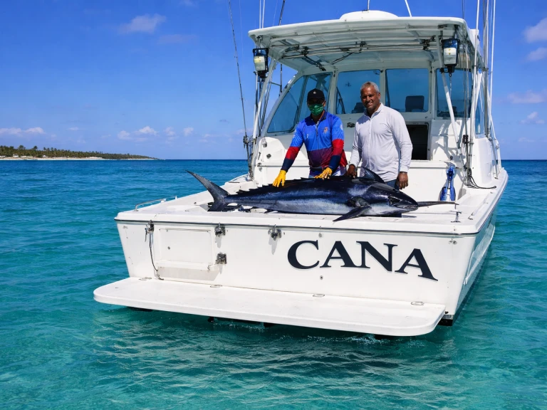 Louer Bateau à moteur avec ou sans skipper Custom Made à Bávaro