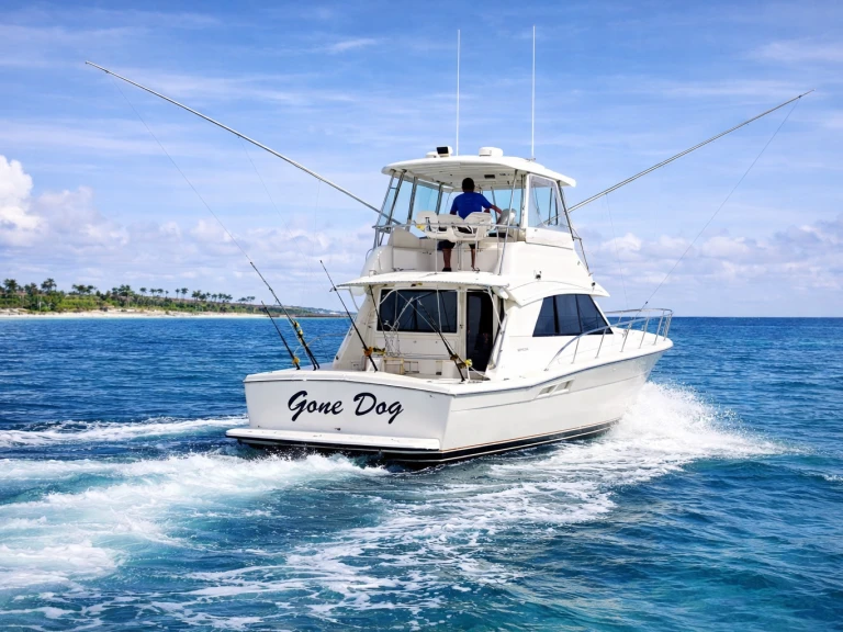 Bateau à moteur à louer à Bávaro au meilleur prix