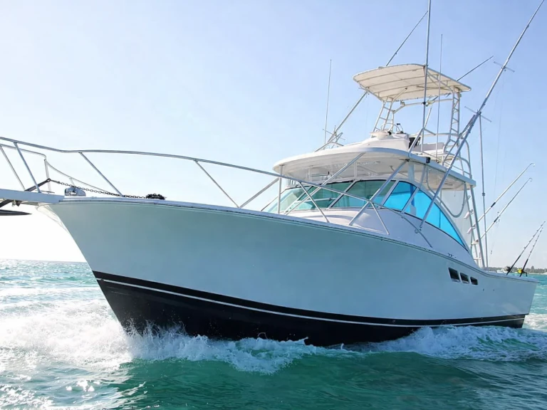 Location Bateau à moteur Custom Made avec permis