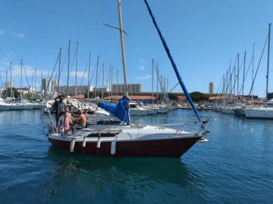 Edel Edel 660 charter bareboat or captained in  Toulon