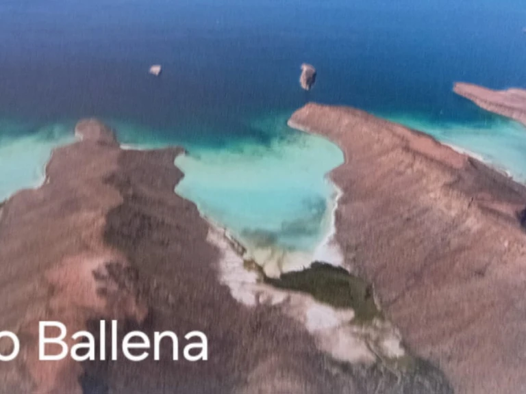 Location à La Paz - Alubat Ovni 43 sur SamBoat