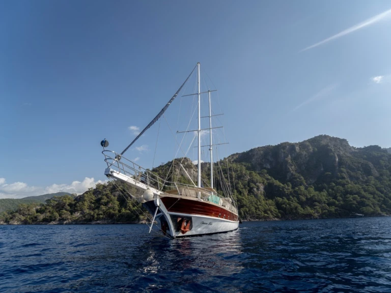 Location Voilier  avec permis