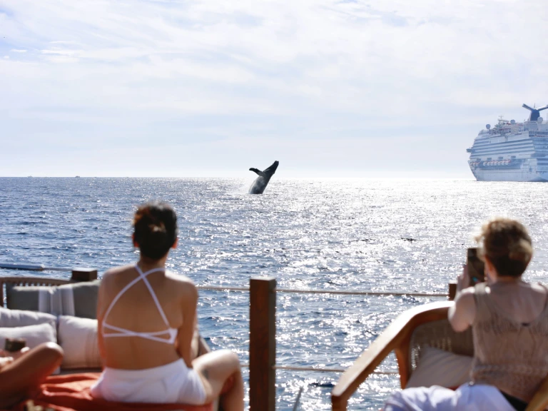 Location bateau Custom Made 36 à Cabo San Lucas sur Samboat