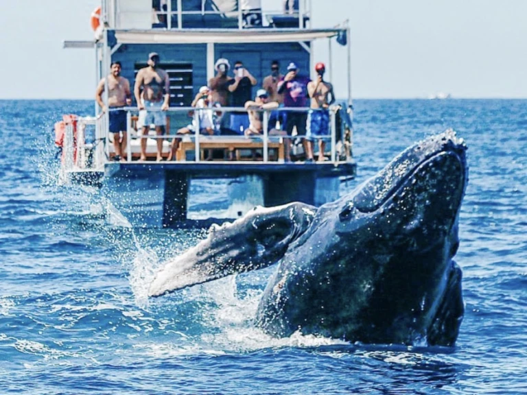 Location bateau Custom Made 36 à Cabo San Lucas sur Samboat