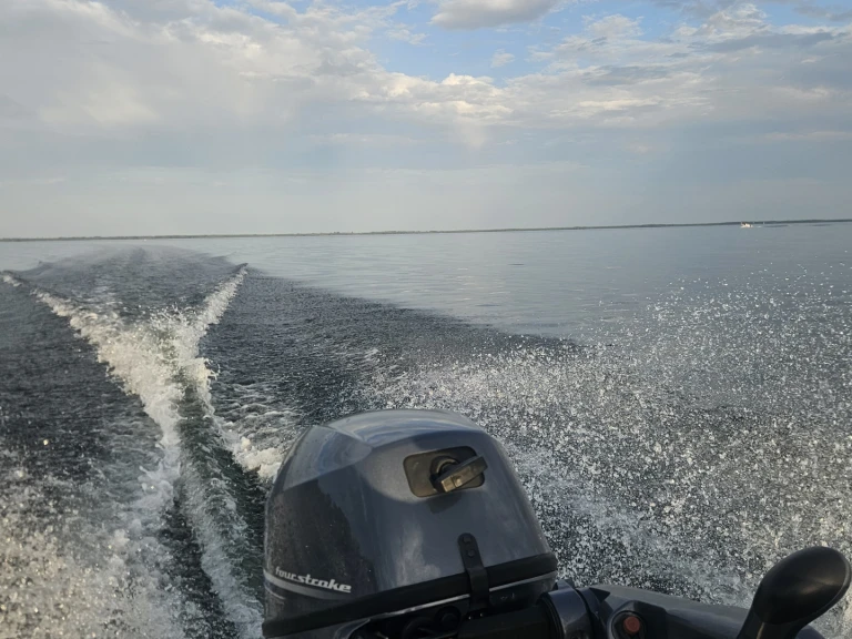 Location Bateau à moteur Boston Whaler avec permis