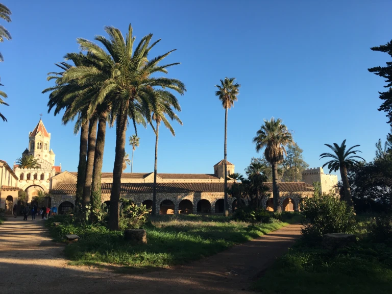 Louez un Cranchi Turchese 24 à Cannes