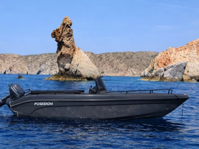 Alquiler Lancha Poseidon con o sin  título de navegación