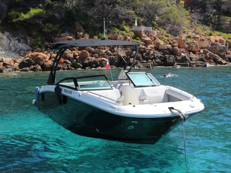 Location à Espagne - Sea Ray SDX 290 sur SamBoat