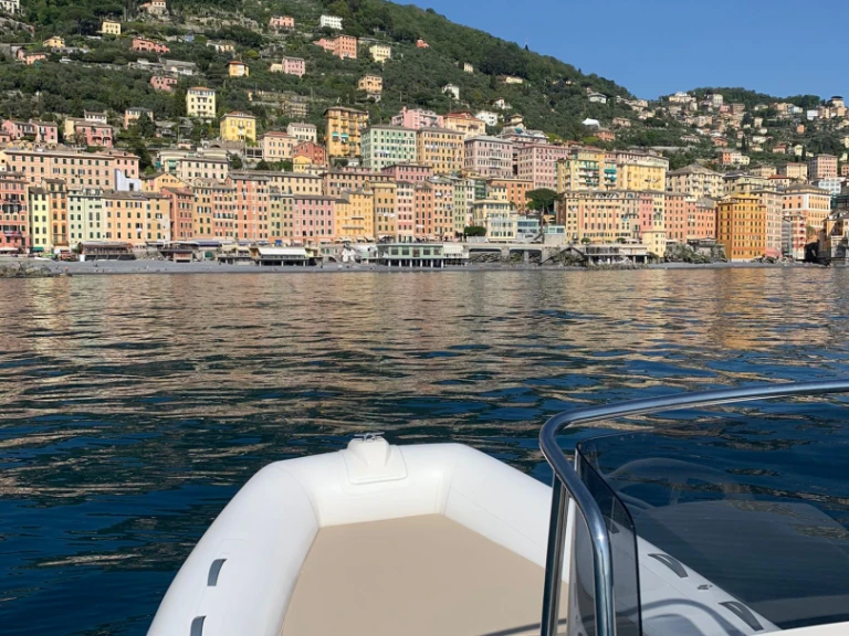 Location bateau Capelli Tempest 530 à Camogli sur Samboat