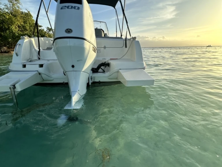 Location Bateau à moteur à Le Gosier - Pacific Craft Pacific Craft 670 Open