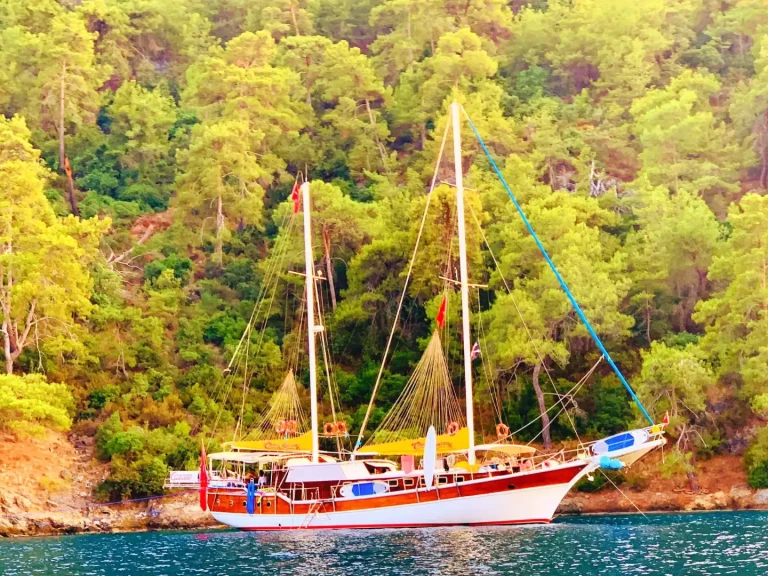 Location Voilier Custom avec permis