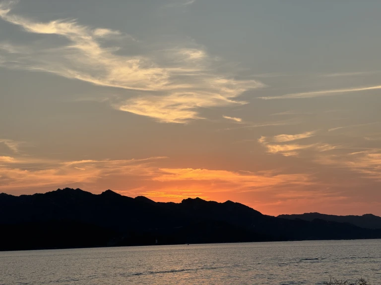 Location bateau Capelli Tempest 775 Open à Saint-Florent sur Samboat