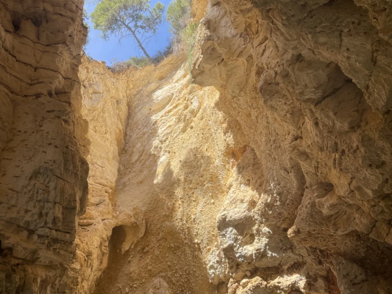 Location bateau Vieste pas cher Sermoneta 29'