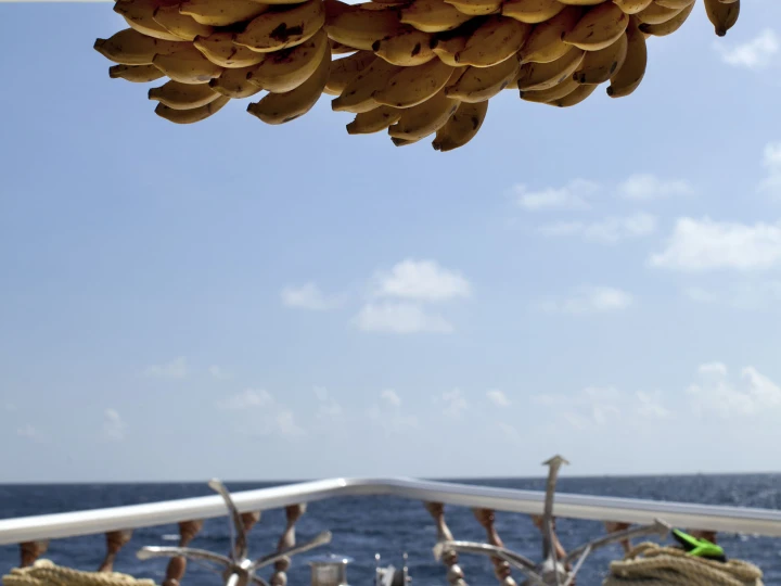 Louer Bateau à moteur avec ou sans skipper  à Hulhumale