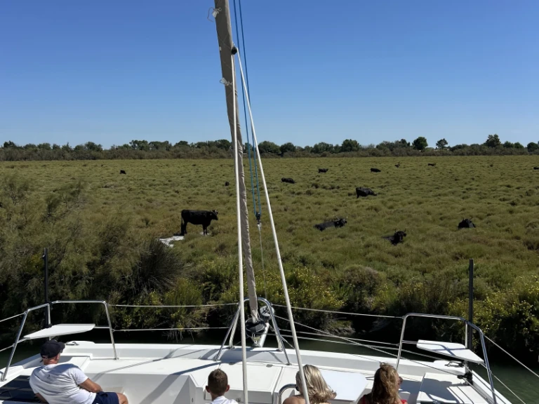 Bali Bali Catspace Voile a louer à Le Grau-du-Roi