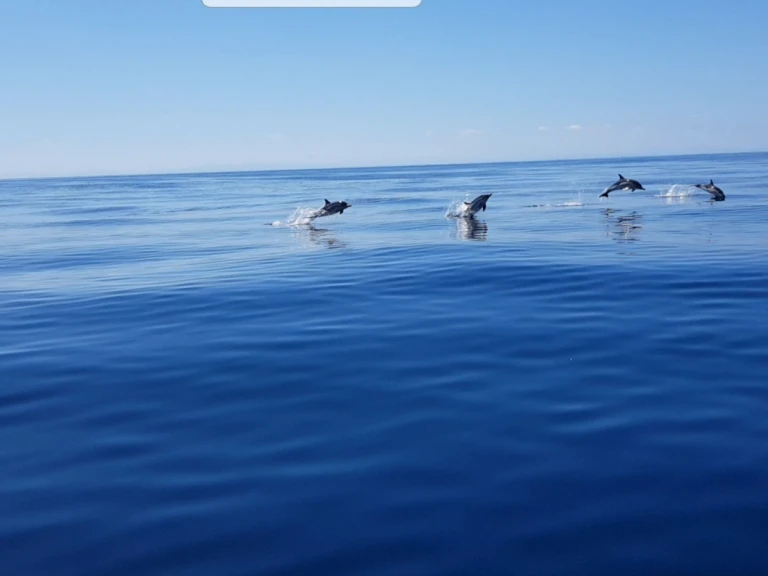 Location à Anglet - Jeanneau Merry Fisher 925 Fly sur SamBoat