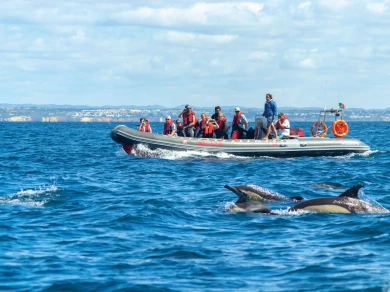 Neumática para alquilar Lagos al mejor precio