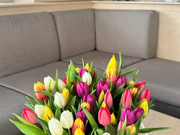 Location bateau Fountaine Pajot Fountaine Pajot Samana 59 - 6 + 2 cab à Procida sur Samboat