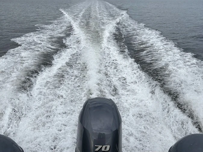 Location bateau Capelli Tempest 500 Easy à Martigues sur Samboat