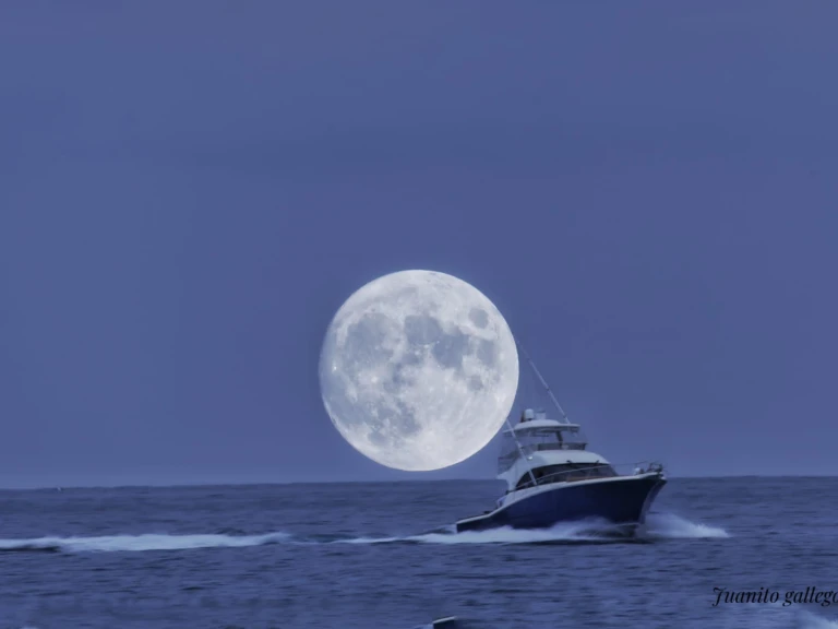 Rico Cori Fisher 1370 a louer à Altea